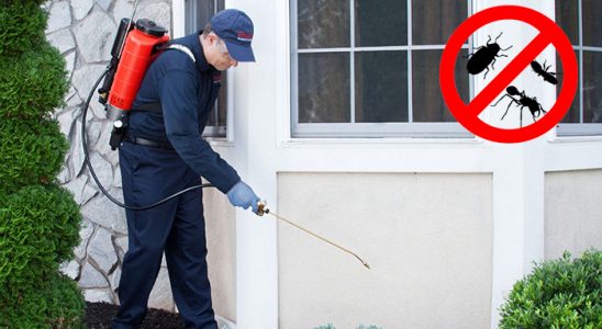 Atakum Tahtakurusu İlaçlama böcek ilaçlama ve haşere kontrolü — ilaclama-tr.com